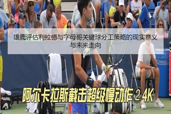 雄鹿评估利拉德与字母哥关键球分工策略的现实意义与未来走向（kaiyun）